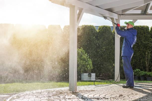 Animal Enclosure Cleaning in East St Louis, IL